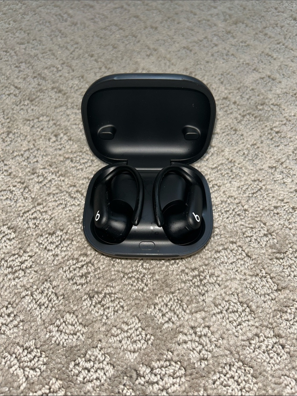Beats Powerbeats Pro 2 Wireless Noise Cancelling Earbuds. Black.